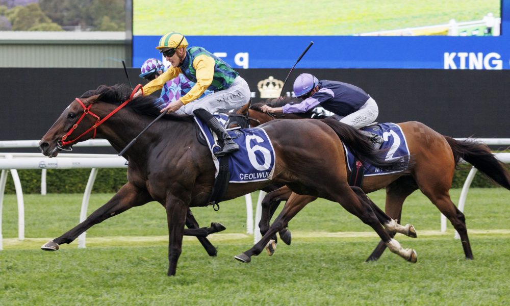 是羽毛球比 是羽毛球比